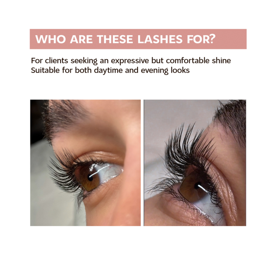 Glossy Black Lash Extensions 0.07 C